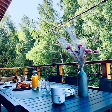 Cozy Au Pied Des Pistes! Apartment *