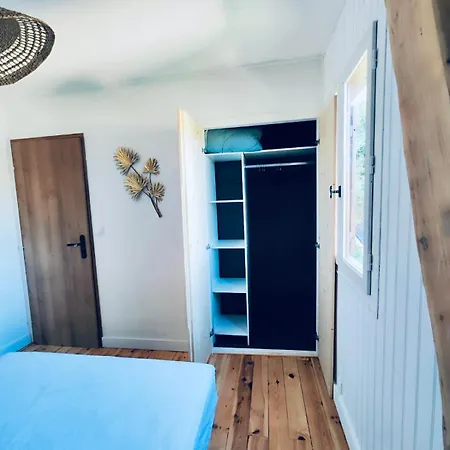 Cozy Au Pied Des Pistes! Apartment